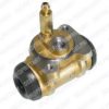 DELPHI LW70106 Wheel Brake Cylinder